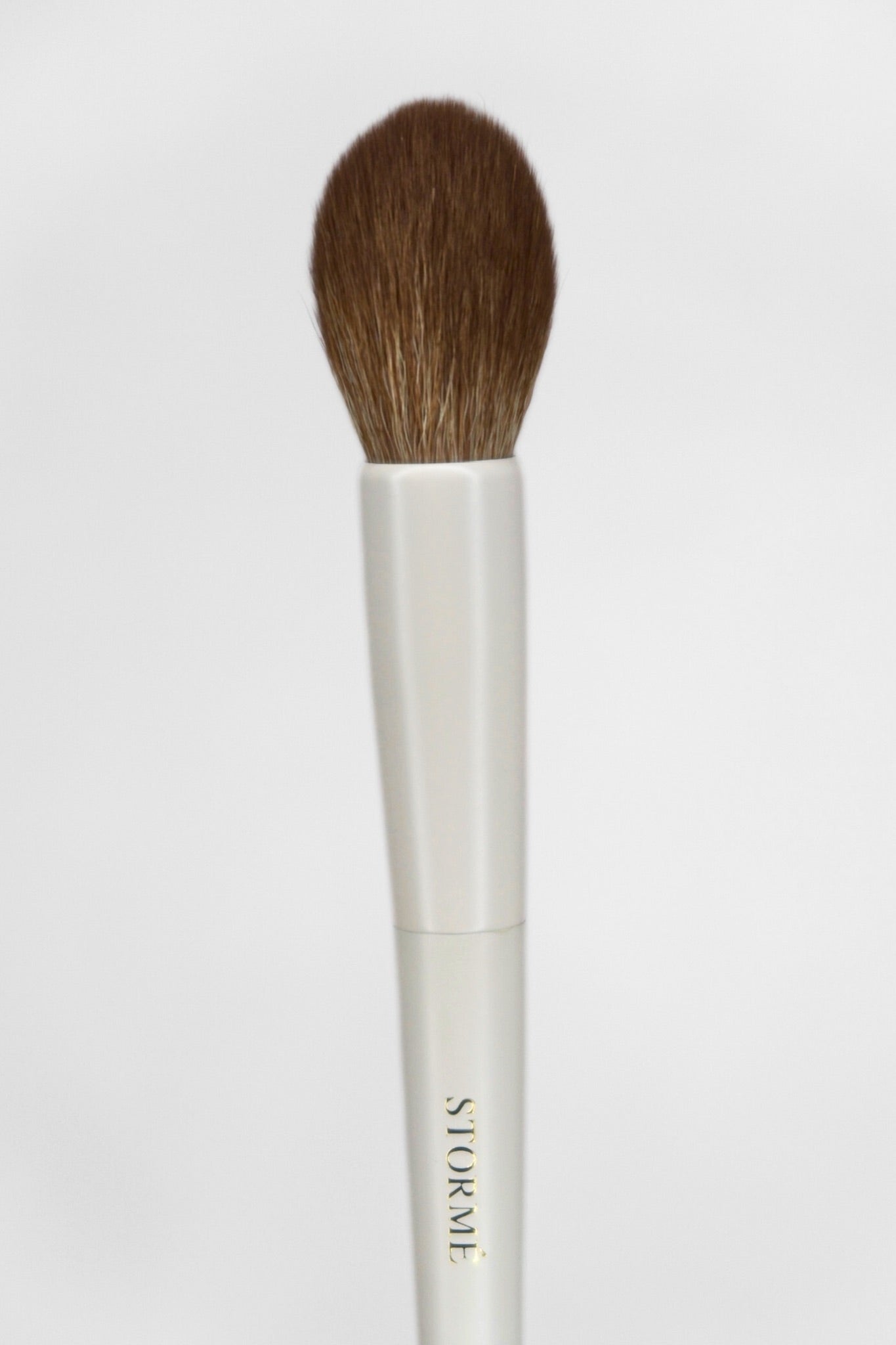 Slanted Powder Brush